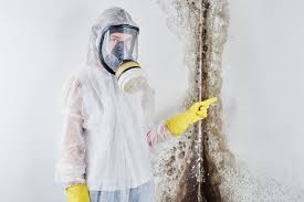 Trusted Flatwoods, KY Mold Removal Experts